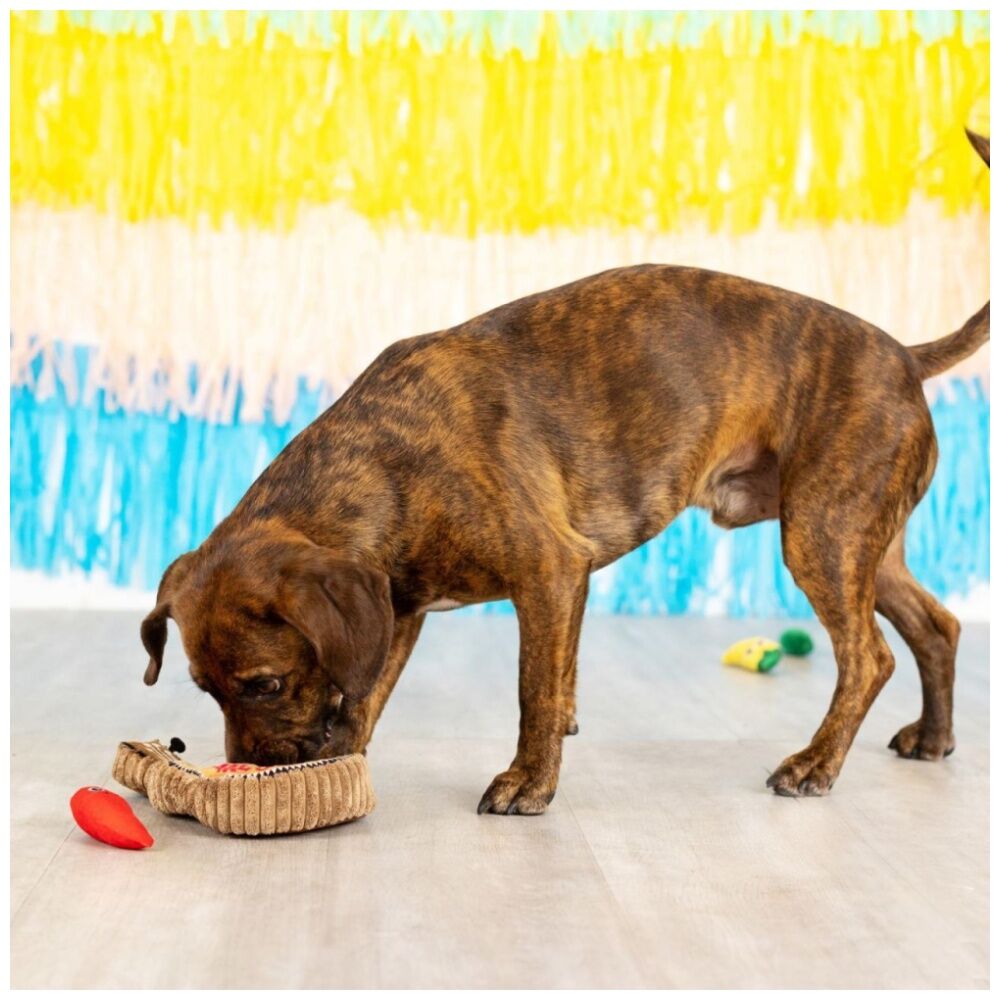 Petshop By Fringe Studio Fiesta Till You Siesta Guitar/Chili Burrow Dog Toy