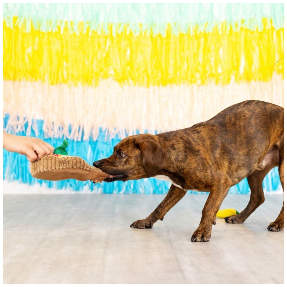 Petshop By Fringe Studio Fiesta Till You Siesta Guitar/Chili Burrow Dog Toy