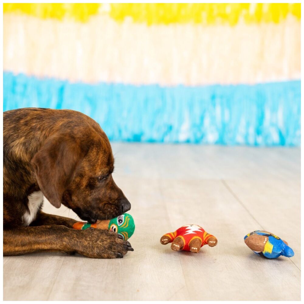 3pc Petshop By Fringe Studio Little Taste Of Glory Mexican Wrestlers Dog Toy Set