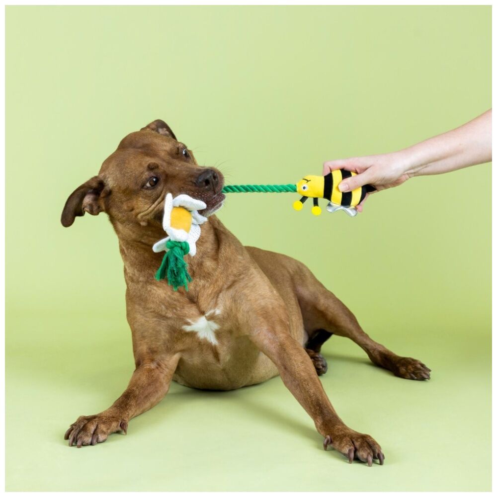2PK Petshop By Fringe Studio I'm Pollen For You Plush & Tug Rope Dog Toy