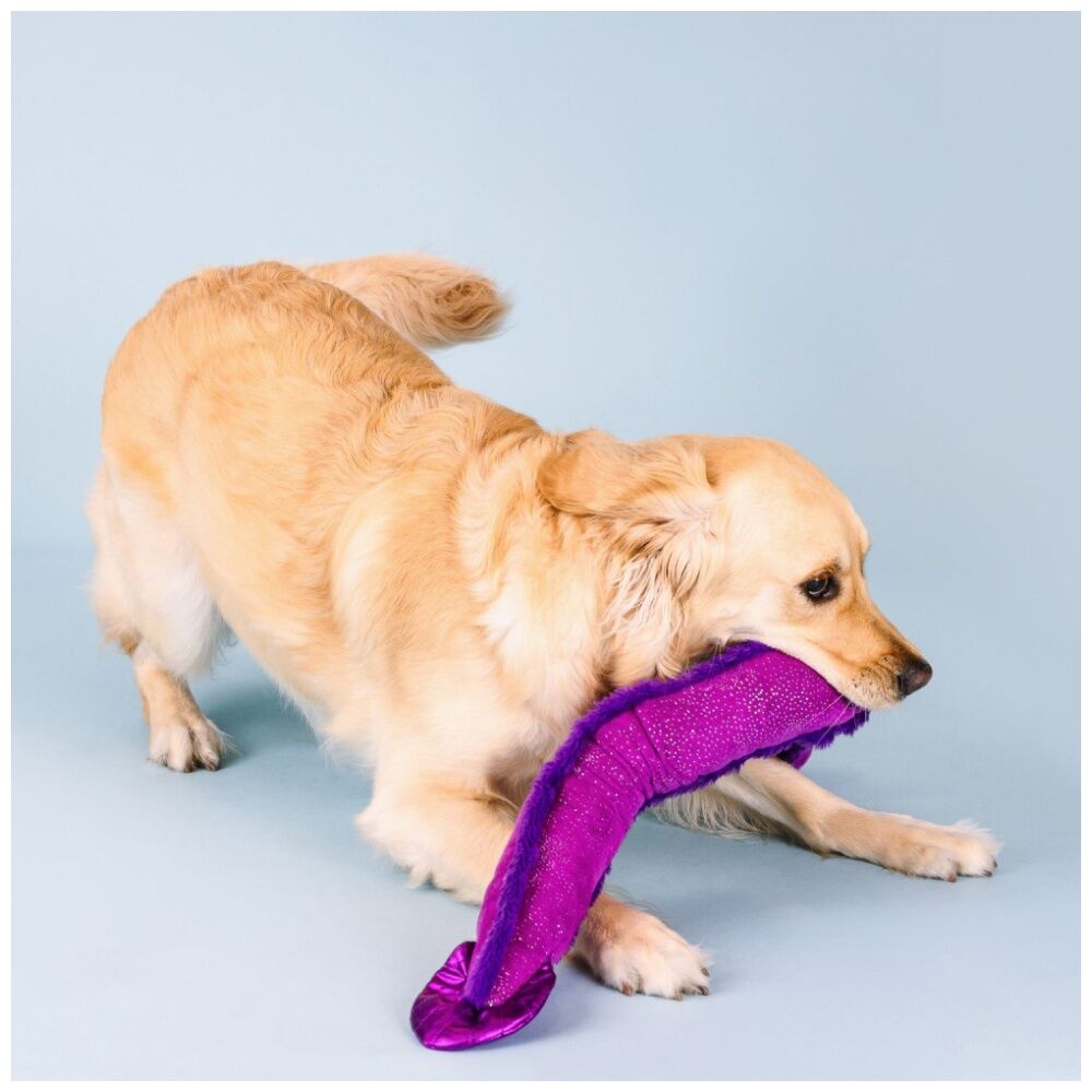 2PK Petshop By Fringe Studio Kind Of A Big Eel Tug Soft Plush Dog Toy Extra Large
