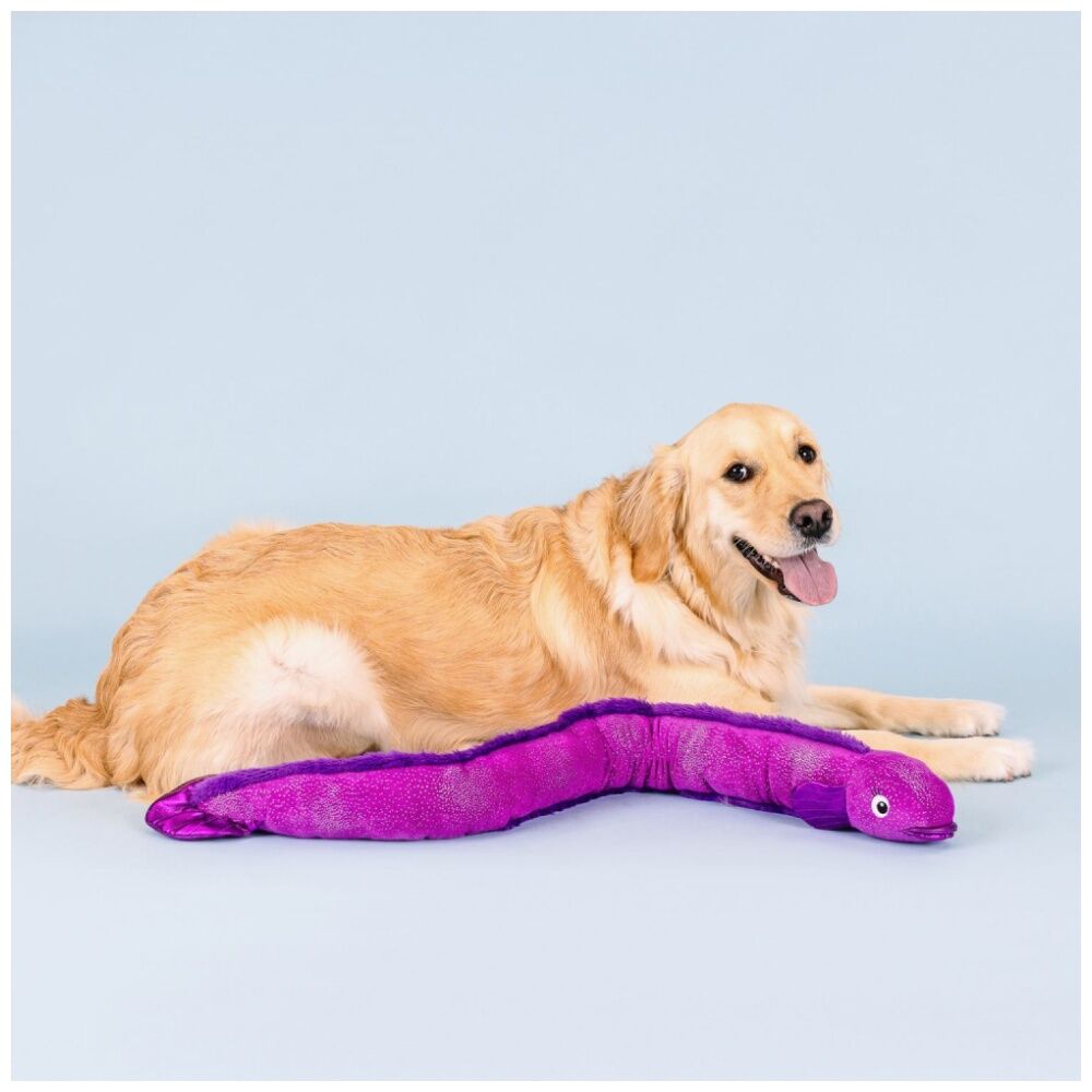 2PK Petshop By Fringe Studio Kind Of A Big Eel Tug Soft Plush Dog Toy Extra Large