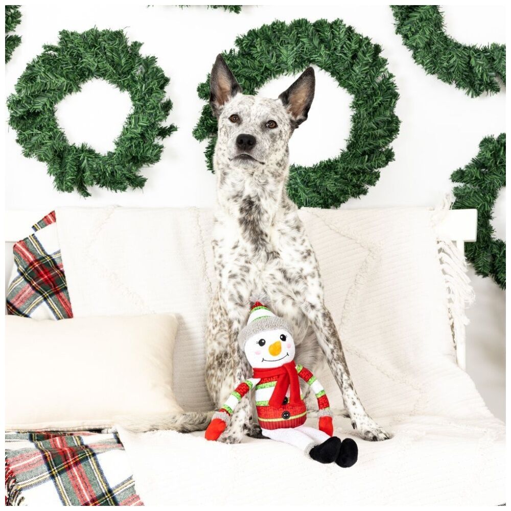 2PK Fringe Studio Too Cute To Chill Soft Plush Squeaker Dog Toy Christmas