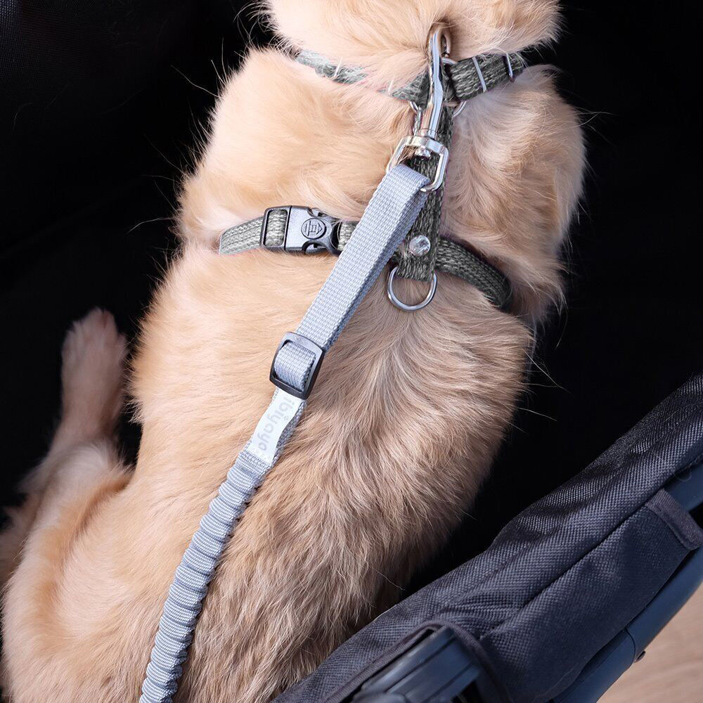 Ibiyaya No Shock Bungee Leash Extension/Stroller Tether For Cats/Dogs 50cm Grey