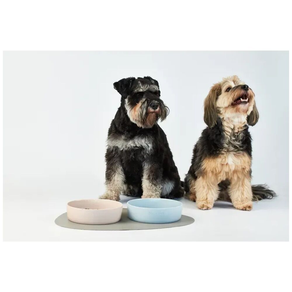 2PK Lilly & Dash Pet Dog Cat 1.75L Food Water Drinking Bowl 230x210x70mm Cloud