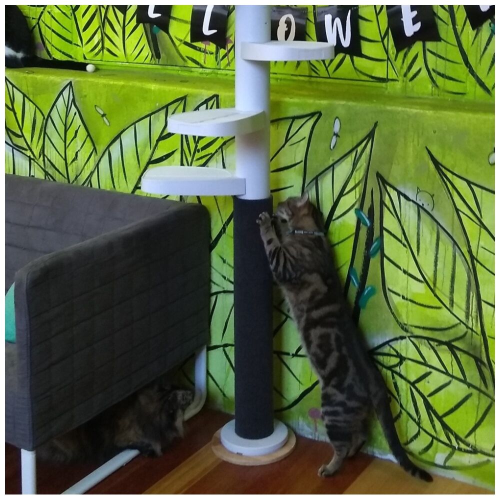 Monkee Tree Warp Around Zip On Scratch Patch Accessory For Cat Climber