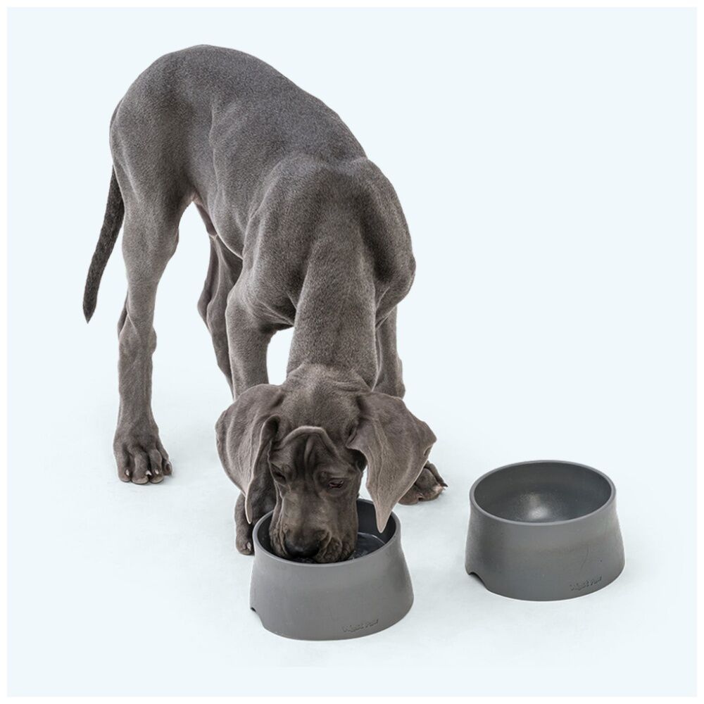 West Paw Non-Slip Pet Dog Feeding & Drinking Water Bowl 18cm Marine