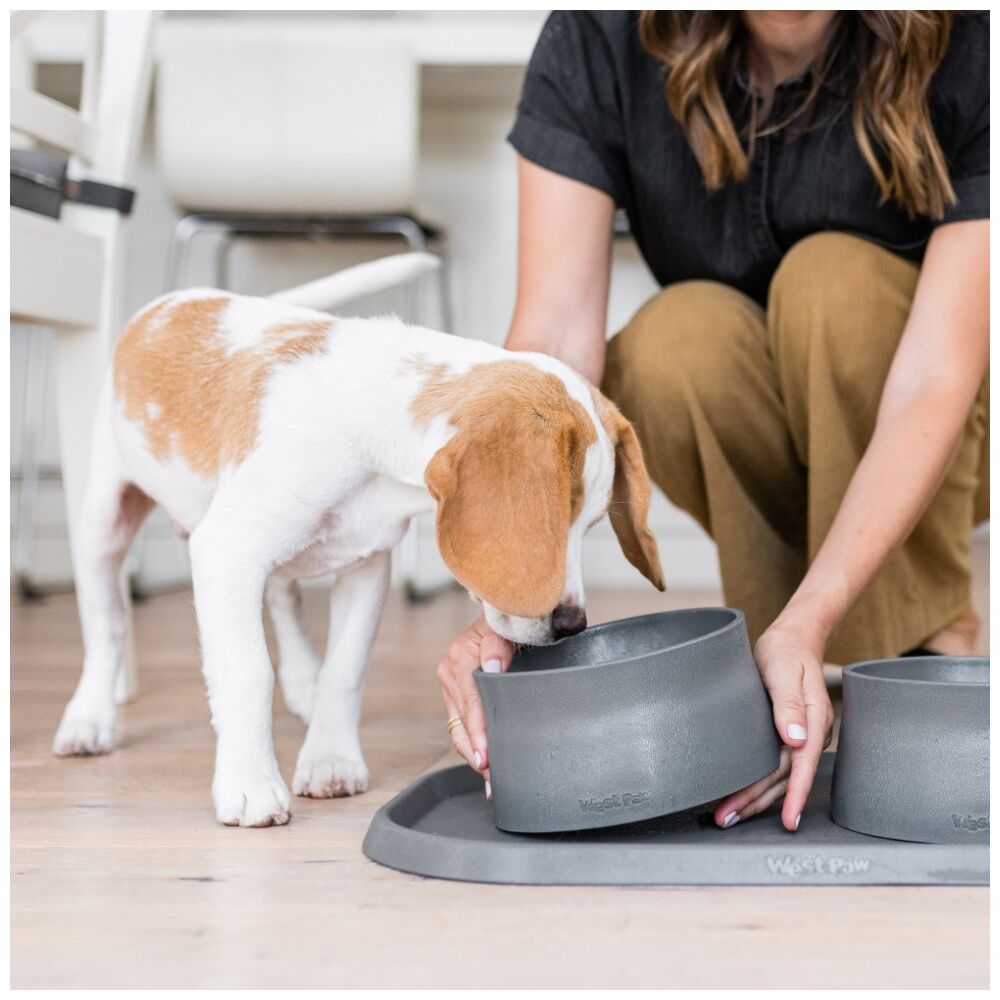 West Paw Non-Slip Pet Dog Feeding & Drinking Water Bowl 18cm Marine