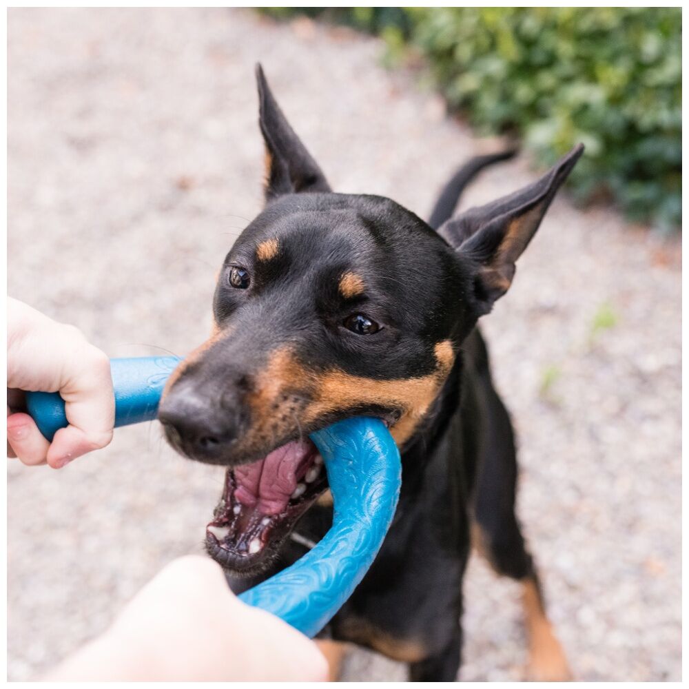 West Paw Snorkl Pet Dog Fetch Throwing Soft Chew Toy Large Surf