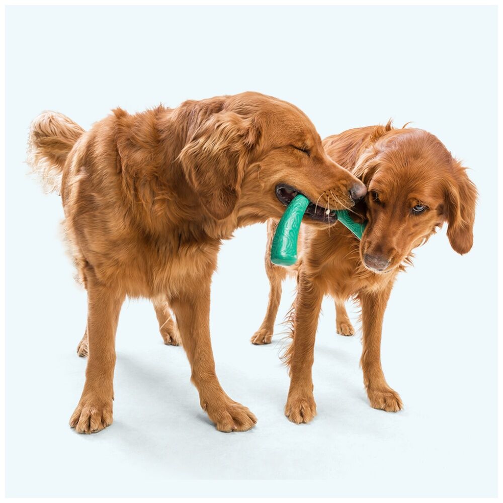 West Paw Snorkl Pet Dog Fetch Throwing Soft Chew Toy Large Surf